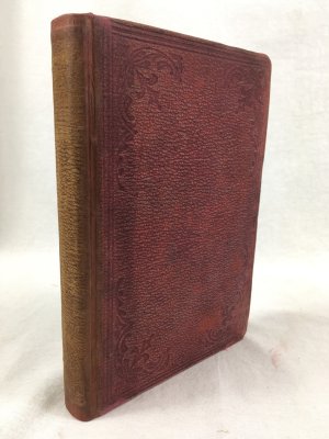 A Dog Flanders and other Stories. London, Chapman and Hall, 1873.