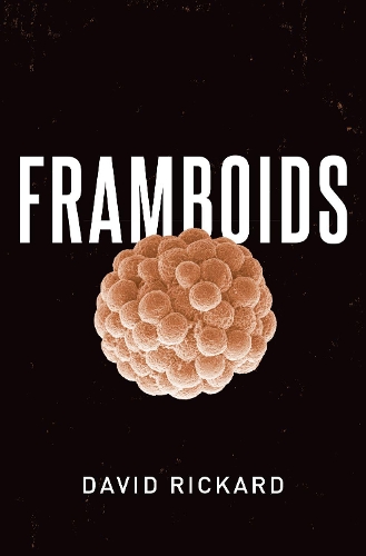 Framboids.