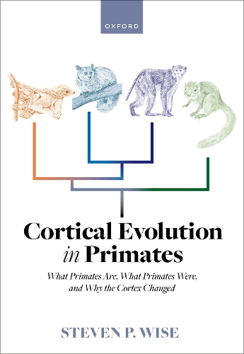 Cortical Evolution in Primates: What Primates Are, What Primates Were, and Why the Cortex Changed.