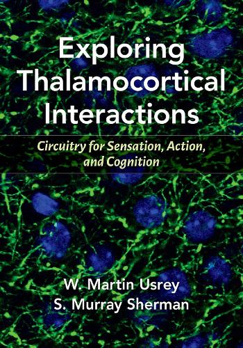 Exploring Thalamocortical Interactions: Circuitry for Sensation, Action, and Cognition.