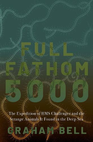 Full Fathom 5000: The Expedition of the HMS Challenger and the Strange Animals It Found in the Deep Sea.