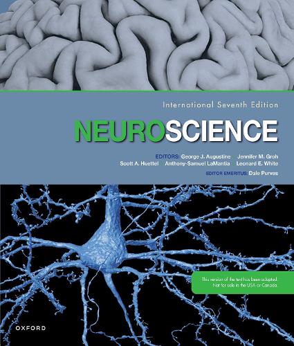 Neuroscience. 7th Revised edition