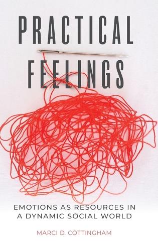 Practical Feelings: Emotions as Resources in a Dynamic Social World.