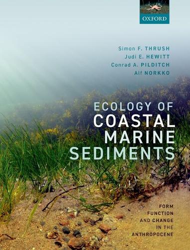 Ecology of Coastal Marine Sediments: Form, Function, and Change in the Anthropocene.
