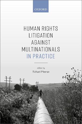 Human Rights Litigation against Multinationals in Practice.