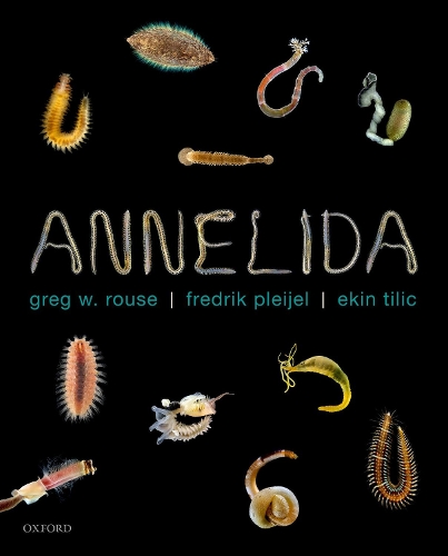 Annelida.