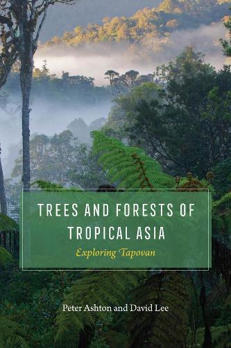 Trees and Forests of Tropical Asia: Exploring Tapovan.