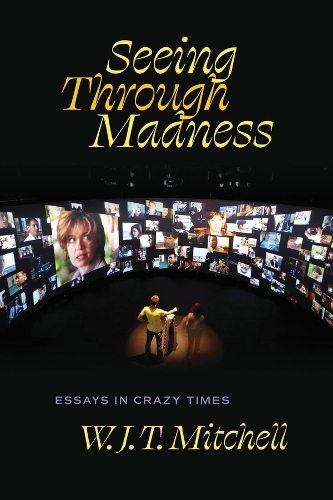 Seeing Through Madness: Essays in Crazy Times.