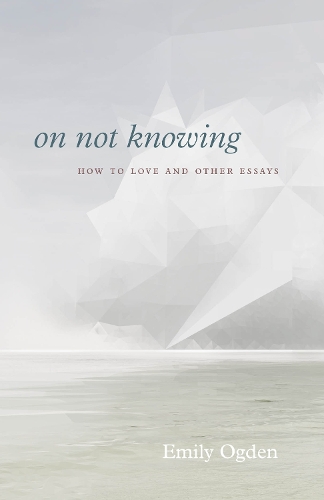 On Not Knowing: How to Love and Other Essays.