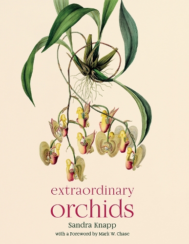 Extraordinary Orchids.