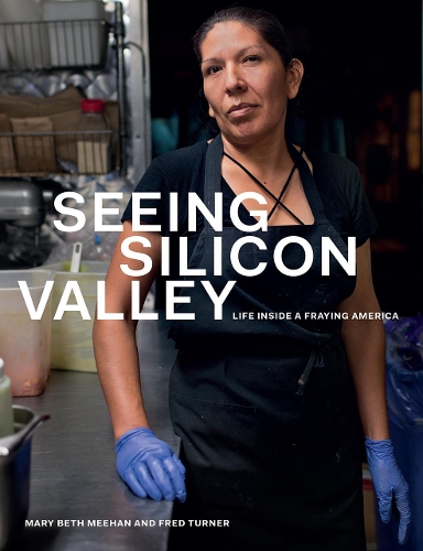 Seeing Silicon Valley: Life Inside a Fraying America.