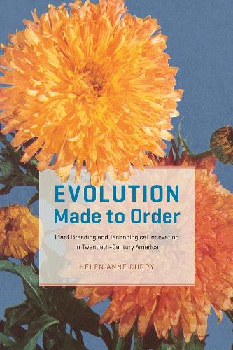 Evolution Made to Order: Plant Breeding and Technological Innovation in Twentieth-Century America.