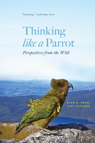 Thinking like a Parrot: Perspectives from the Wild.