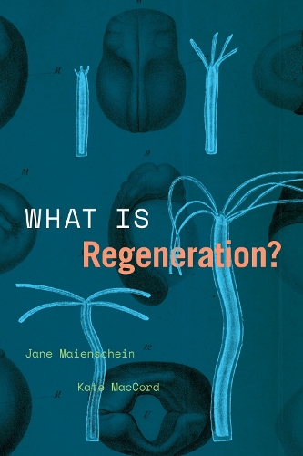 What Is Regeneration?.