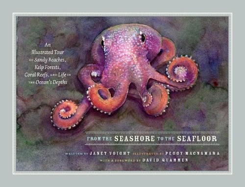 From the Seashore to the Seafloor: An Illustrated Tour of Sandy Beaches, Kelp Forests, Coral Reefs, and Life in the Ocean's Depths.