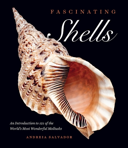 Fascinating Shells: An Introduction to 121 of the World's Most Wonderful Mollusks.