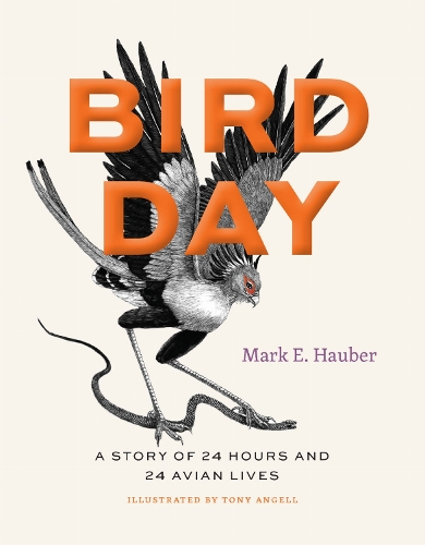 Bird Day: A Story of 24 Hours and 24 Avian Lives.