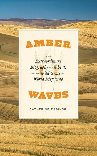 Amber Waves: The Extraordinary Biography of Wheat, from Wild Grass to World Megacrop.