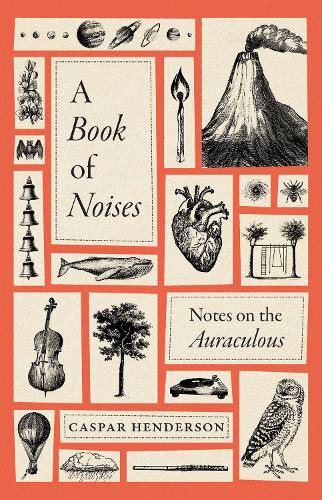A Book of Noises: Notes on the Auraculous.