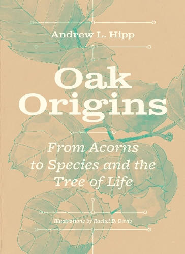 Oak Origins: From Acorns to Species and the Tree of Life.