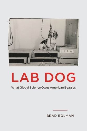 Lab Dog: What Global Science Owes American Beagles.