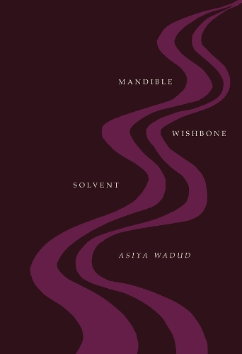 Mandible Wishbone Solvent.