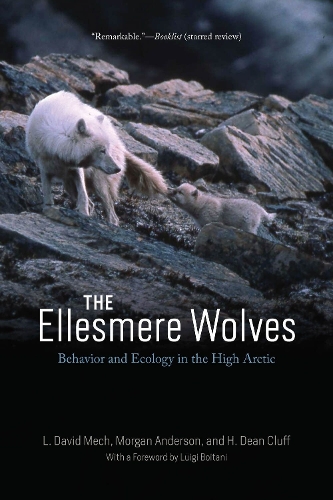 The Ellesmere Wolves: Behavior and Ecology in the High Arctic.