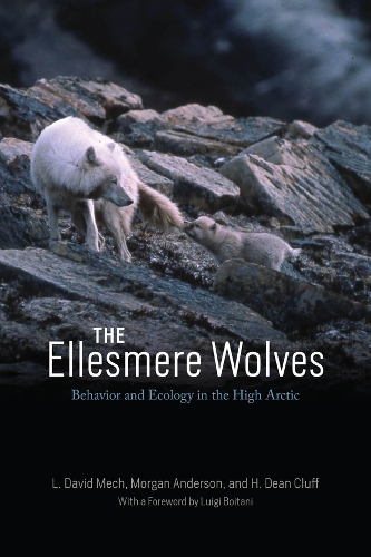 The Ellesmere Wolves: Behavior and Ecology in the High Arctic.