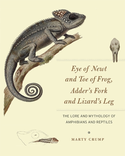 Eye of Newt and Toe of Frog, Adder's Fork and Lizard's Leg: The Lore and Mythology of Amphibians and Reptiles.