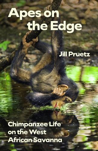 Apes on the Edge: Chimpanzee Life on the West African Savanna.