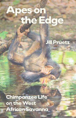 Apes on the Edge: Chimpanzee Life on the West African Savanna.