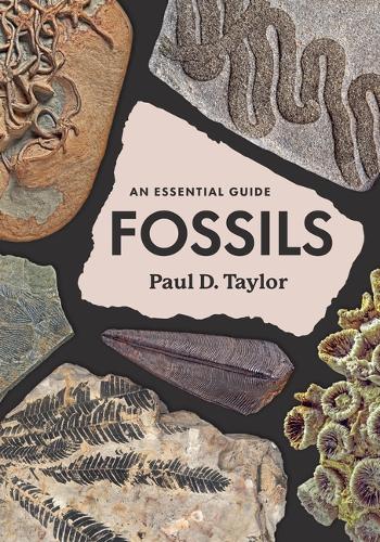 Fossils: An Essential Guide.