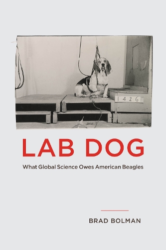 Lab Dog: What Global Science Owes American Beagles.