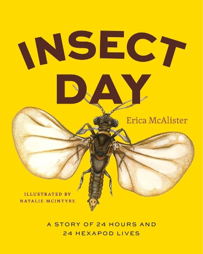 Insect Day: A Story of 24 Hours and 24 Hexapod Lives.