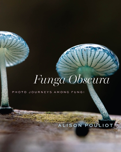 Funga Obscura: Photo Journeys Among Fungi.
