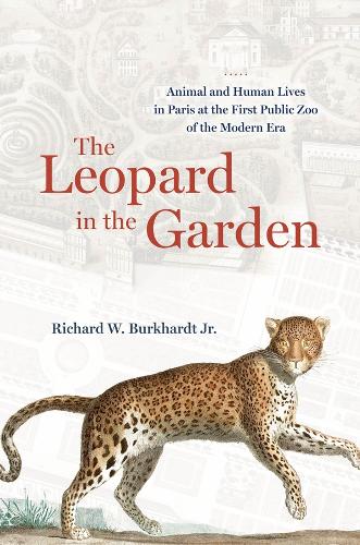 The Leopard in the Garden