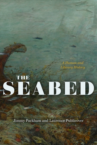 The Seabed: A Human and Literary History.