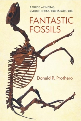 Fantastic Fossils: A Guide to Finding and Identifying Prehistoric Life.