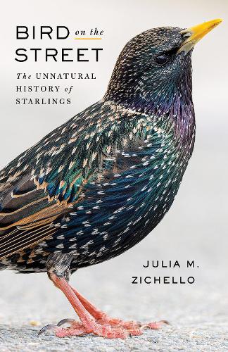 Bird on the Street: The Unnatural History of Starlings.
