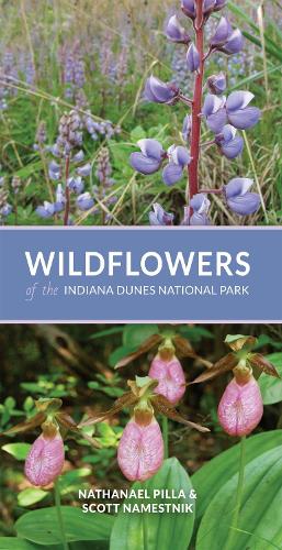Wildflowers of the Indiana Dunes National Park.