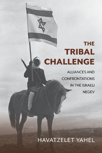 The Tribal Challenge: Alliances and Confrontations in the Israeli Negev.