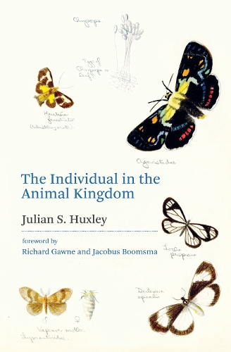 The Individual in the Animal Kingdom.