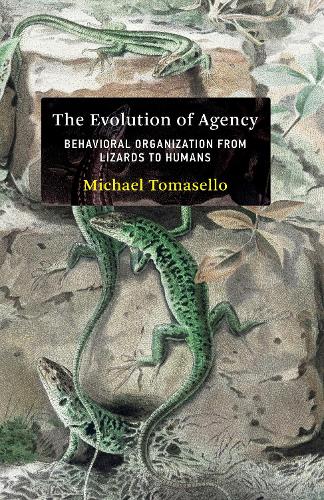 The Evolution of Agency: Behavioral Organization from Lizards to Humans.