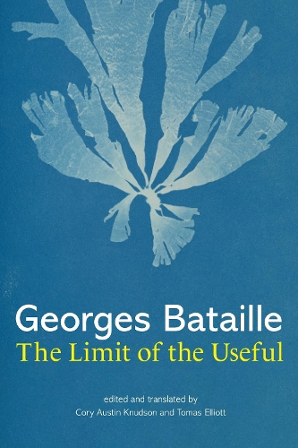 The Limit of the Useful.