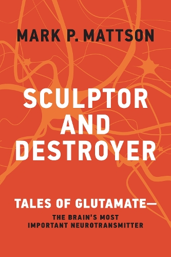 Sculptor and Destroyer: Tales of Glutamatethe Brains Most Important Neurotransmitter.
