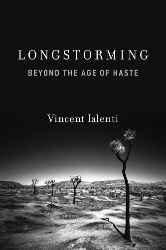 Longstorming: Beyond the Age of Haste.