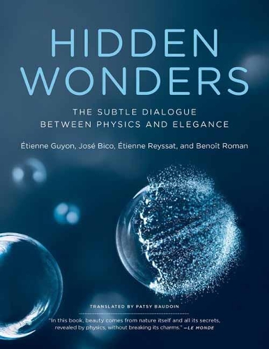 Hidden Wonders: The Subtle Dialogue Between Physics and Elegance.