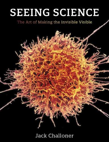 Seeing Science: The Art of Making the Invisible Visible.