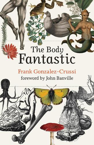 The Body Fantastic.