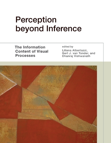 Perception beyond Inference: The Information Content of Visual Processes.